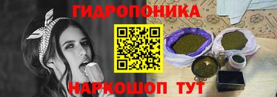 индика Первоуральск
