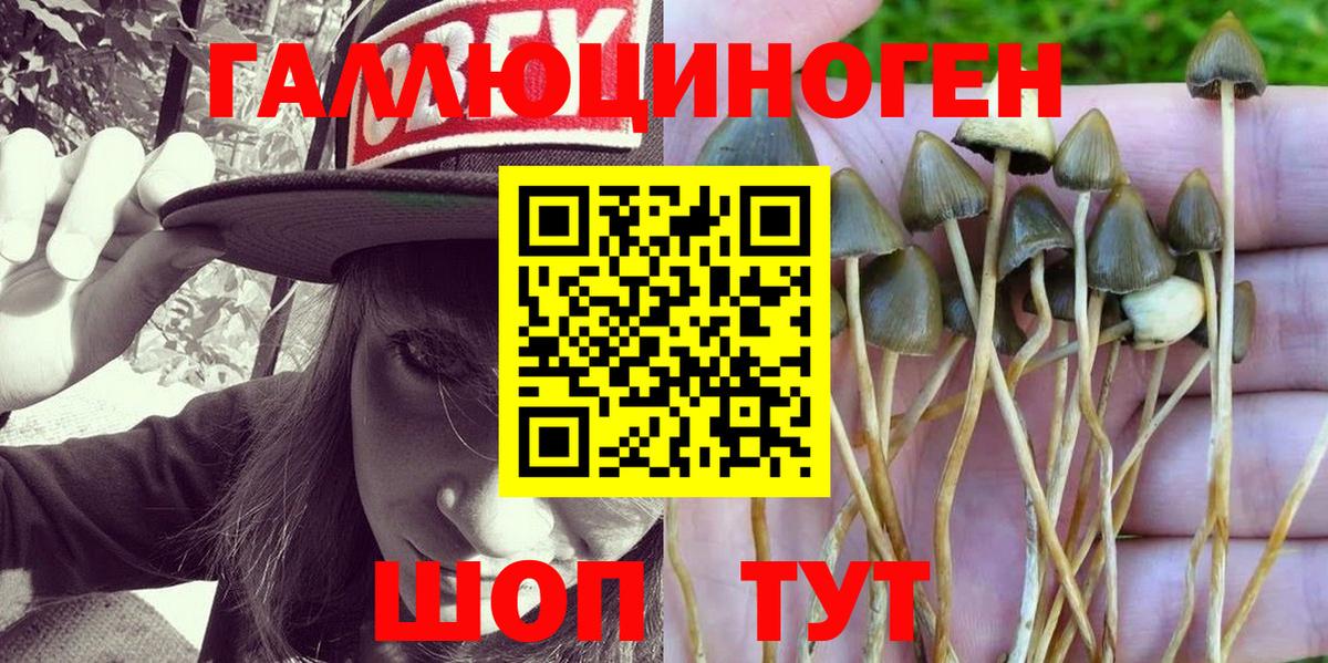 Тольятти  Галлюциногенные грибы GOLDEN TEACHER  Вход с VPN 