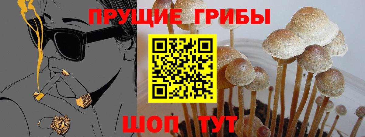 Галлюциногенные грибы мицелий Тольятти